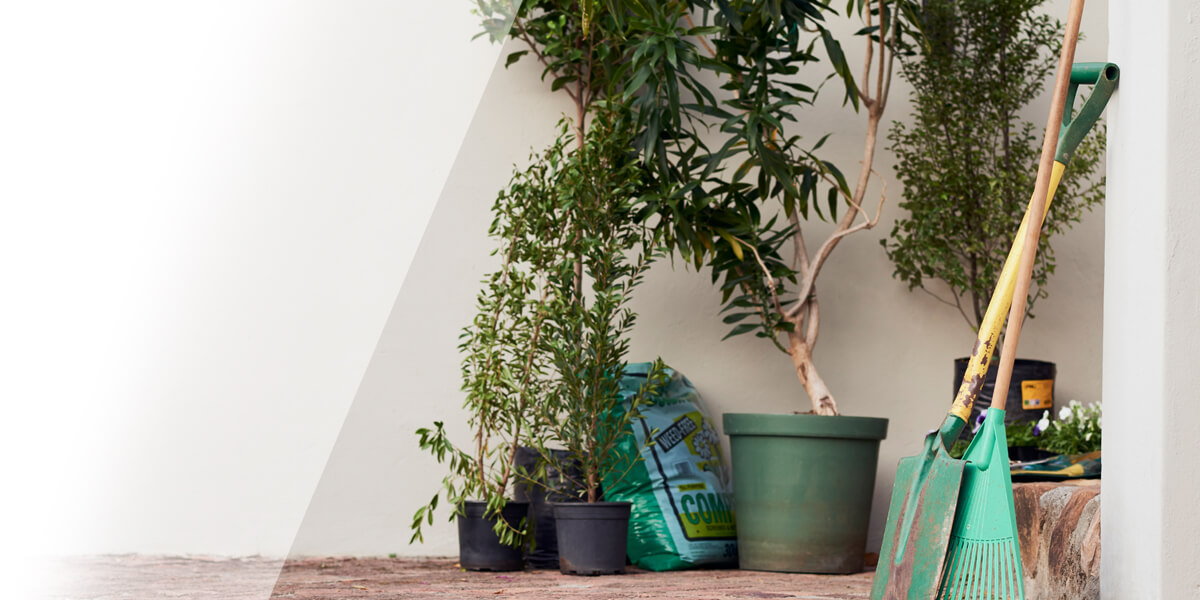 Trees and plants with outdoor equipment